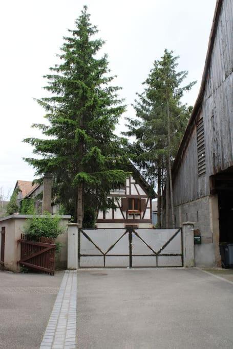 Spacieux Duplex 1 A 6 Personnes Ebersheim Exterior photo